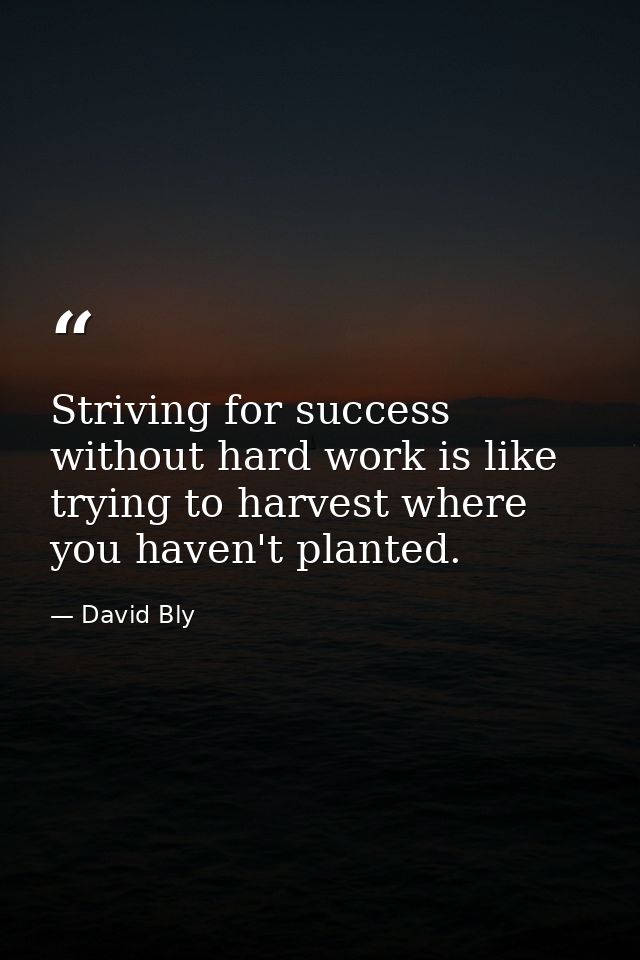 Striving for success without hard work is like trying to harvest where you haven't planted. — David Bly