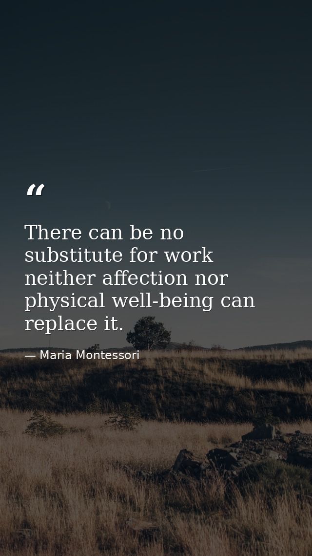 There can be no substitute for work  neither affection nor physical well-being can replace it. — Maria Montessori