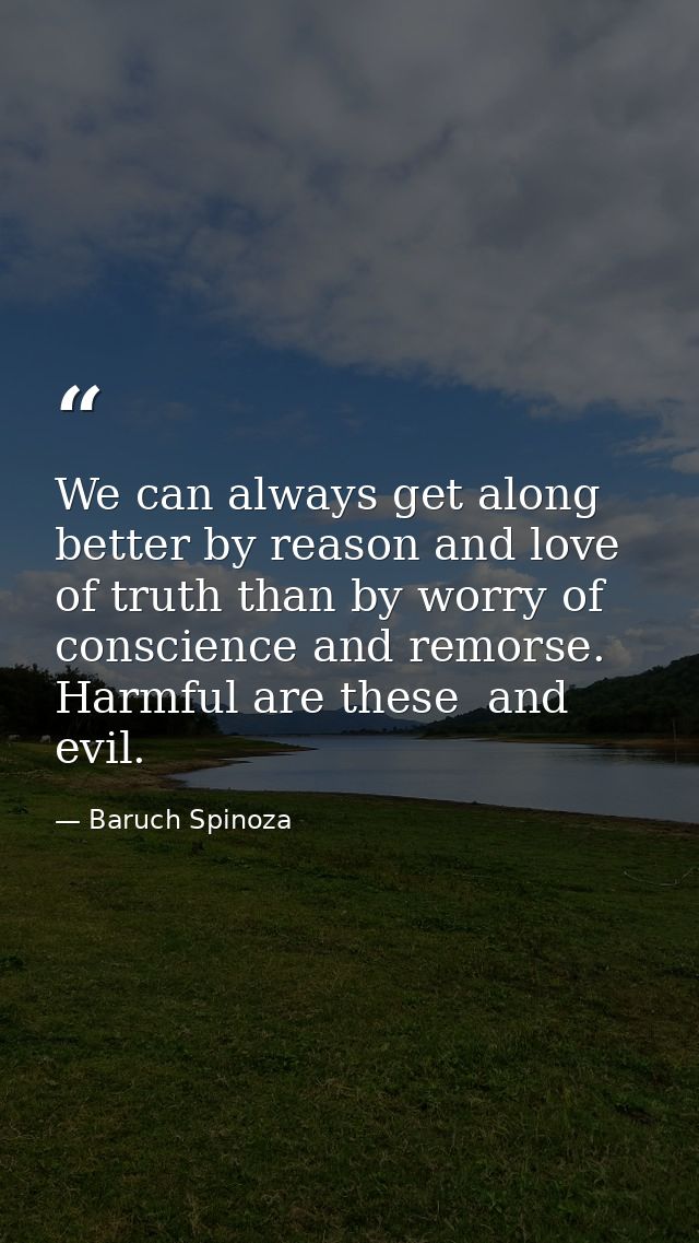 We can always get along better by reason and love of truth than by worry of conscience and remorse. Harmful are these  a — Baruch Spinoza