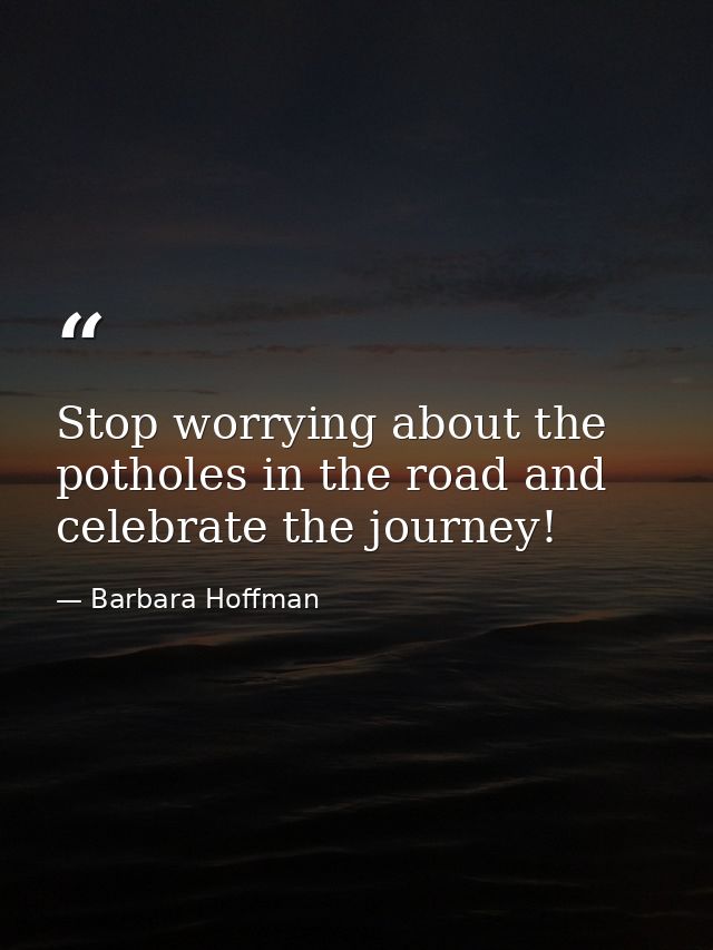 Stop worrying about the potholes in the road and celebrate the journey! — Barbara Hoffman