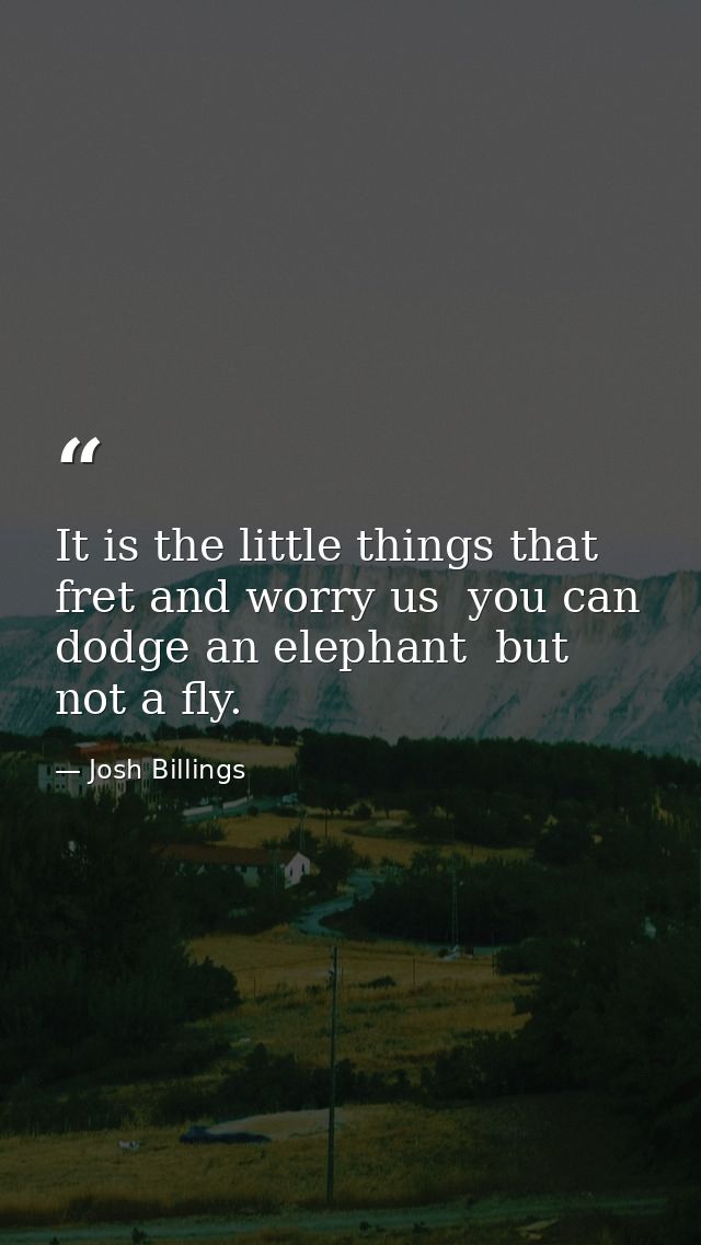 It is the little things that fret and worry us  you can dodge an elephant  but not a fly. — Josh Billings