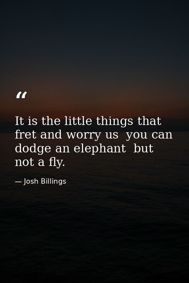 It is the little things that fret and worry us  you can dodge an elephant  but not a fly. — Josh Billings