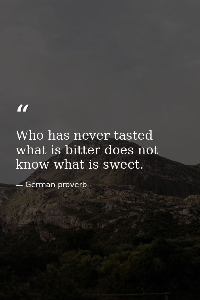 Who has never tasted what is bitter does not know what is sweet. — German proverb