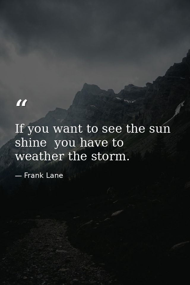 If you want to see the sun shine  you have to weather the storm. — Frank Lane