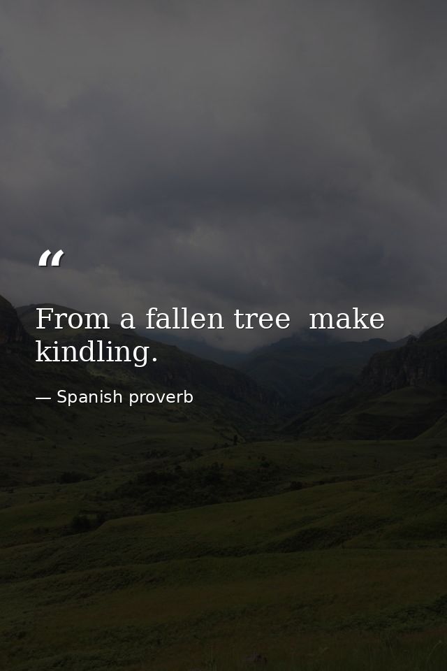 From a fallen tree  make kindling. — Spanish proverb