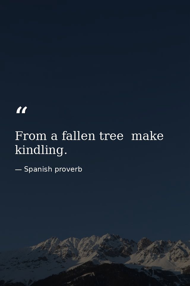 From a fallen tree  make kindling. — Spanish proverb