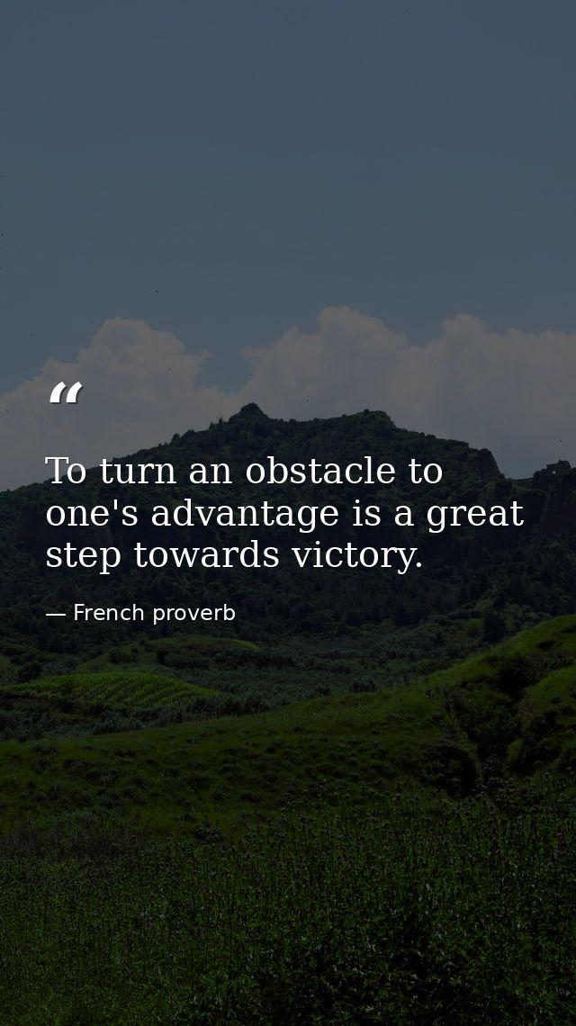 To turn an obstacle to one's advantage is a great step towards victory. — French proverb
