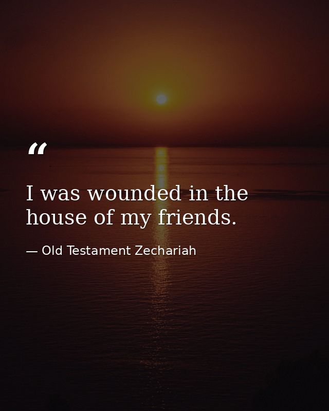 I was wounded in the house of my friends. — Old Testament Zechariah