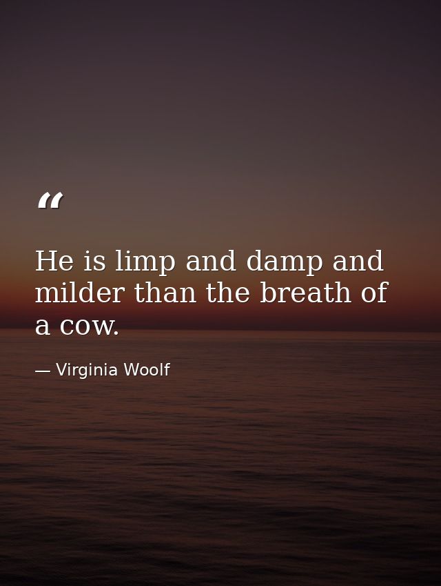 He is limp and damp and milder than the breath of a cow. — Virginia Woolf