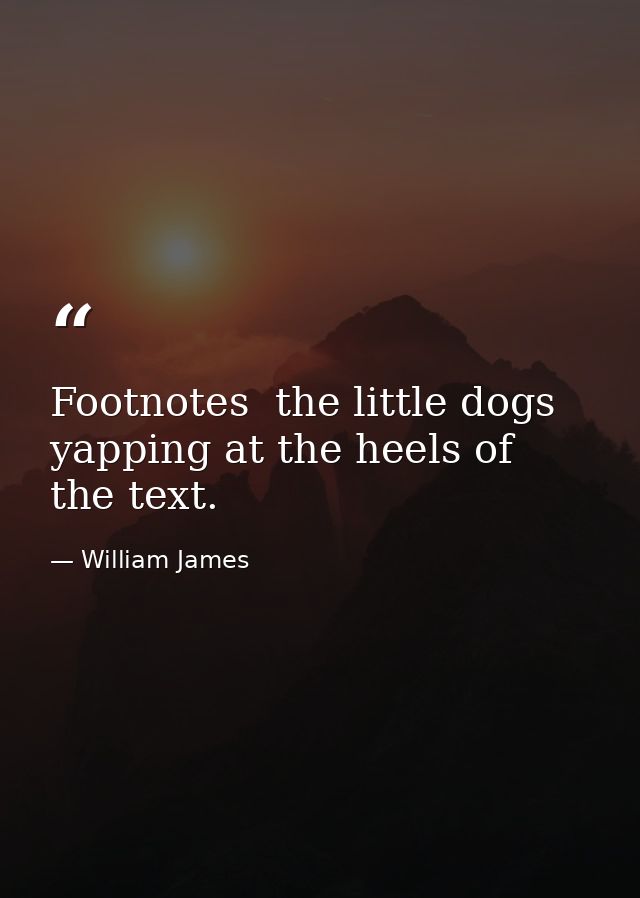 Footnotes  the little dogs yapping at the heels of the text. — William James