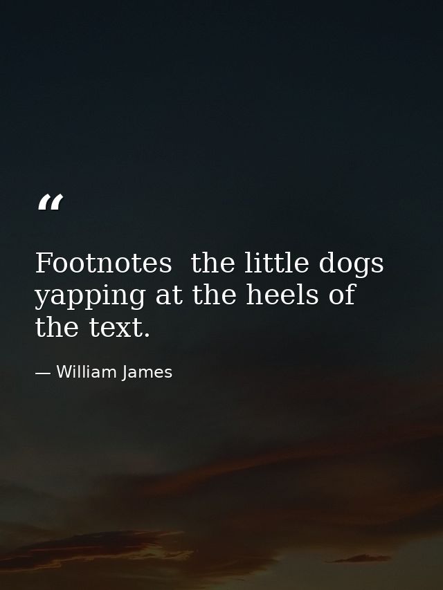 Footnotes  the little dogs yapping at the heels of the text. — William James