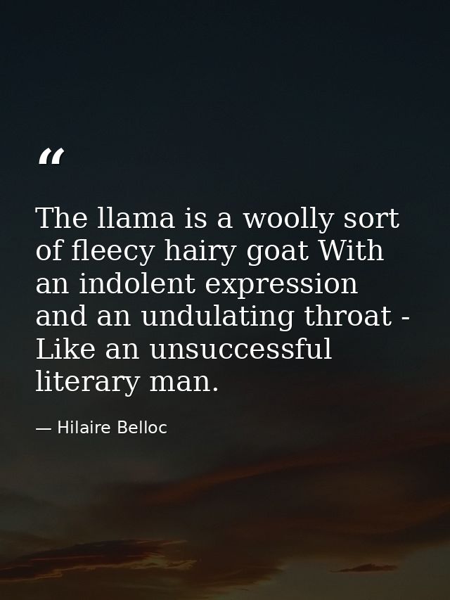 The llama is a woolly sort of fleecy hairy goat With an indolent expression and an undulating throat - Like an unsuccess — Hilaire Belloc