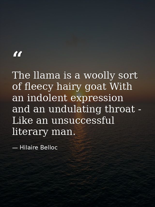 The llama is a woolly sort of fleecy hairy goat With an indolent expression and an undulating throat - Like an unsuccess — Hilaire Belloc