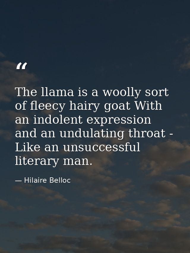 The llama is a woolly sort of fleecy hairy goat With an indolent expression and an undulating throat - Like an unsuccess — Hilaire Belloc