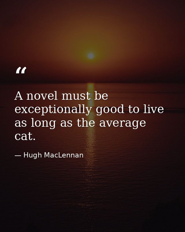 A novel must be exceptionally good to live as long as the average cat. — Hugh MacLennan