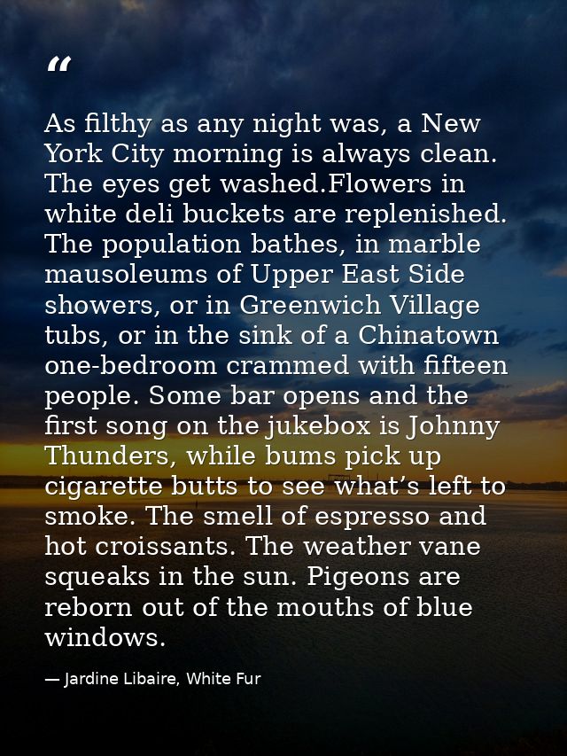 As filthy as any night was, a New York City morning is always clean. The eyes get washed.Flowers in white deli buckets a — Jardine Libaire, White Fur