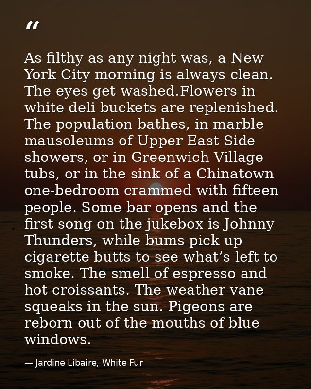 As filthy as any night was, a New York City morning is always clean. The eyes get washed.Flowers in white deli buckets a — Jardine Libaire, White Fur
