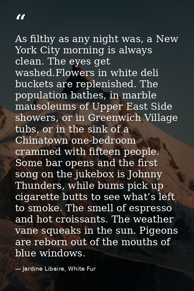 As filthy as any night was, a New York City morning is always clean. The eyes get washed.Flowers in white deli buckets a — Jardine Libaire, White Fur