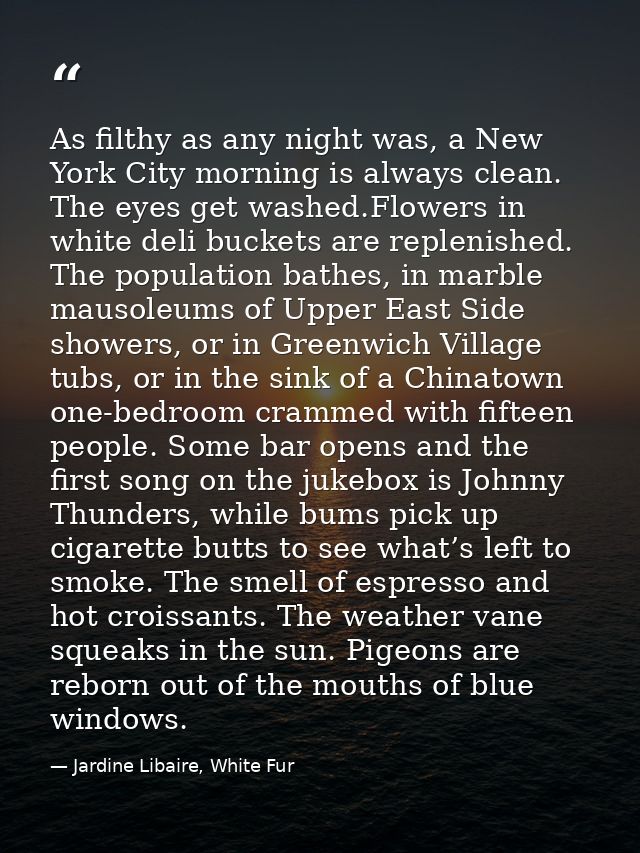 As filthy as any night was, a New York City morning is always clean. The eyes get washed.Flowers in white deli buckets a — Jardine Libaire, White Fur