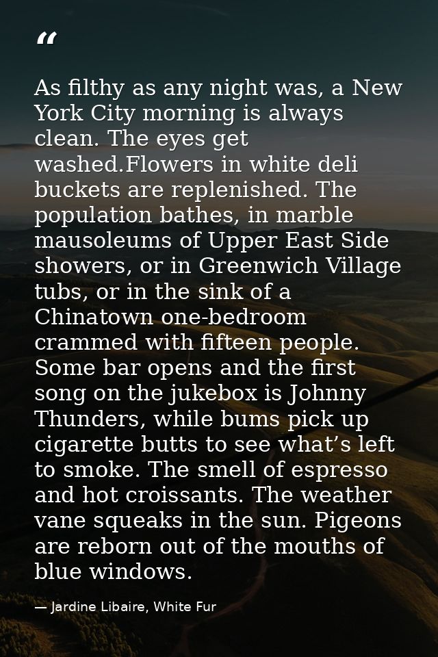 As filthy as any night was, a New York City morning is always clean. The eyes get washed.Flowers in white deli buckets a — Jardine Libaire, White Fur