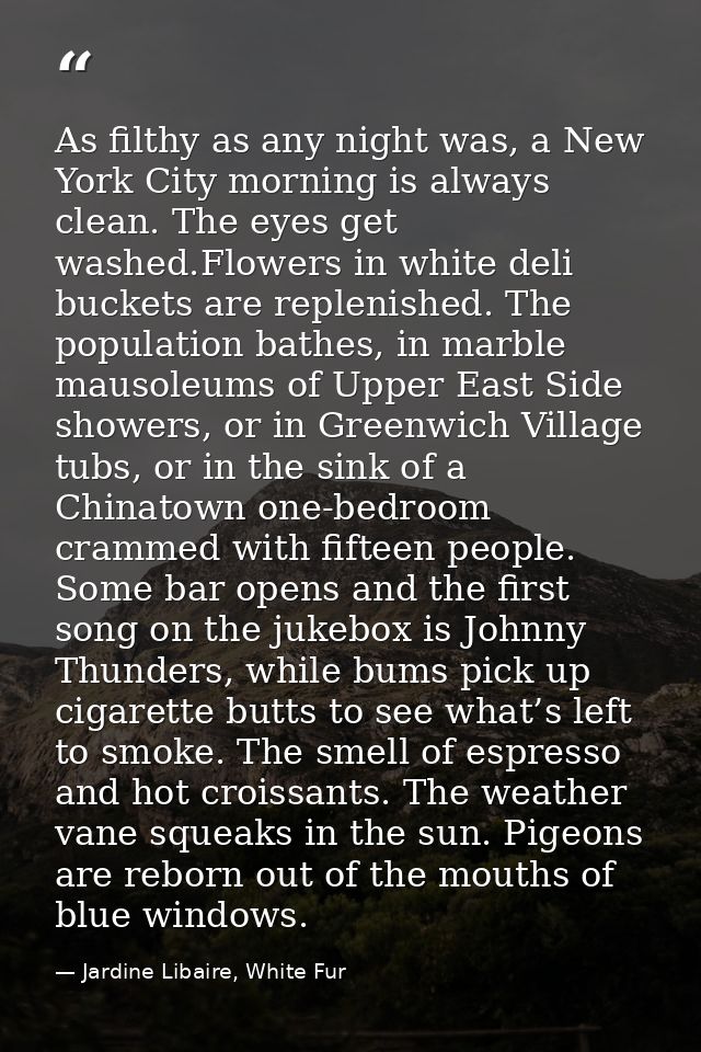 As filthy as any night was, a New York City morning is always clean. The eyes get washed.Flowers in white deli buckets a — Jardine Libaire, White Fur