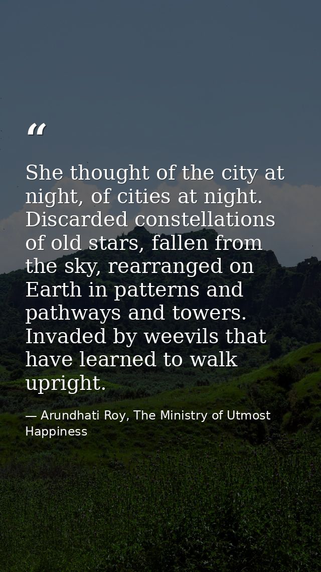 She thought of the city at night, of cities at night. Discarded constellations of old stars, fallen from the sky, rearra — Arundhati Roy, The Ministry of Utmost Happiness