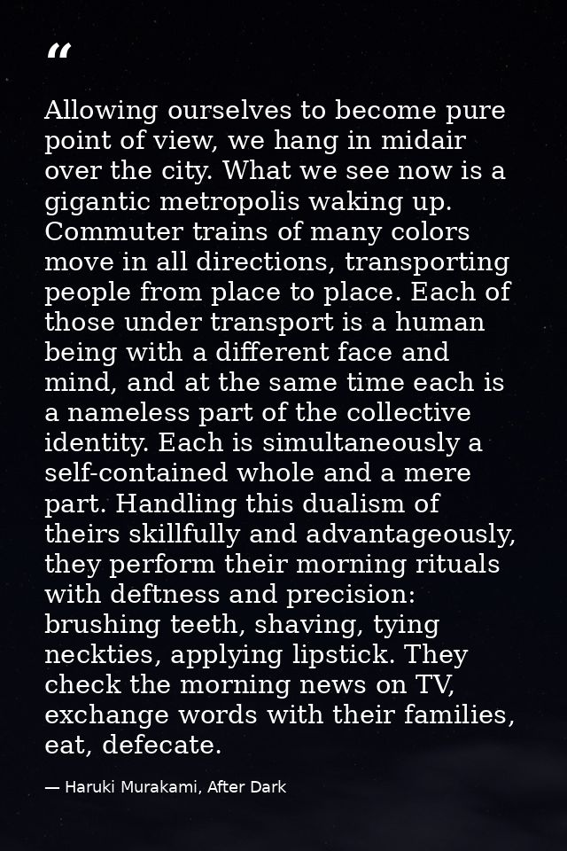 Allowing ourselves to become pure point of view, we hang in midair over the city. What we see now is a gigantic metropol — Haruki Murakami, After Dark
