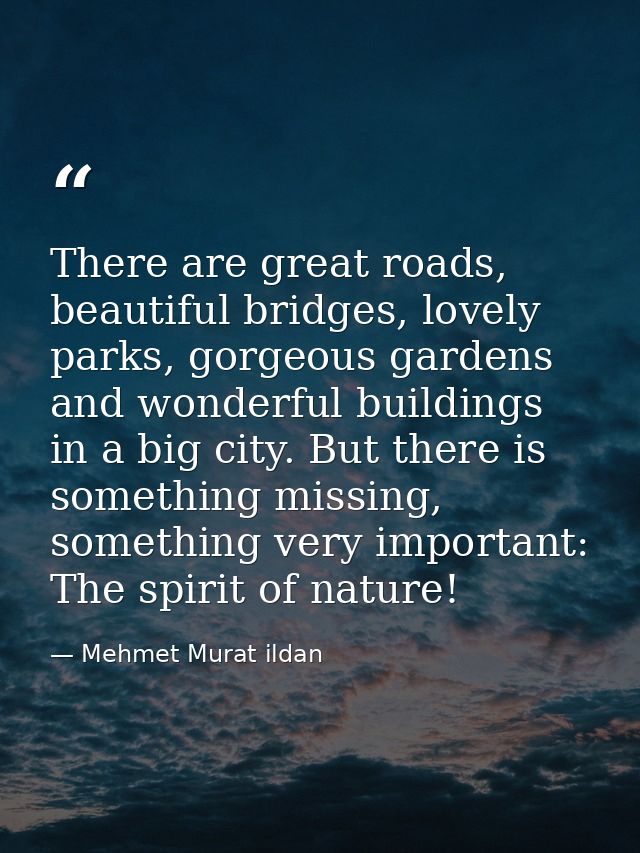 There are great roads, beautiful bridges, lovely parks, gorgeous gardens and wonderful buildings in a big city. But ther — Mehmet Murat ildan