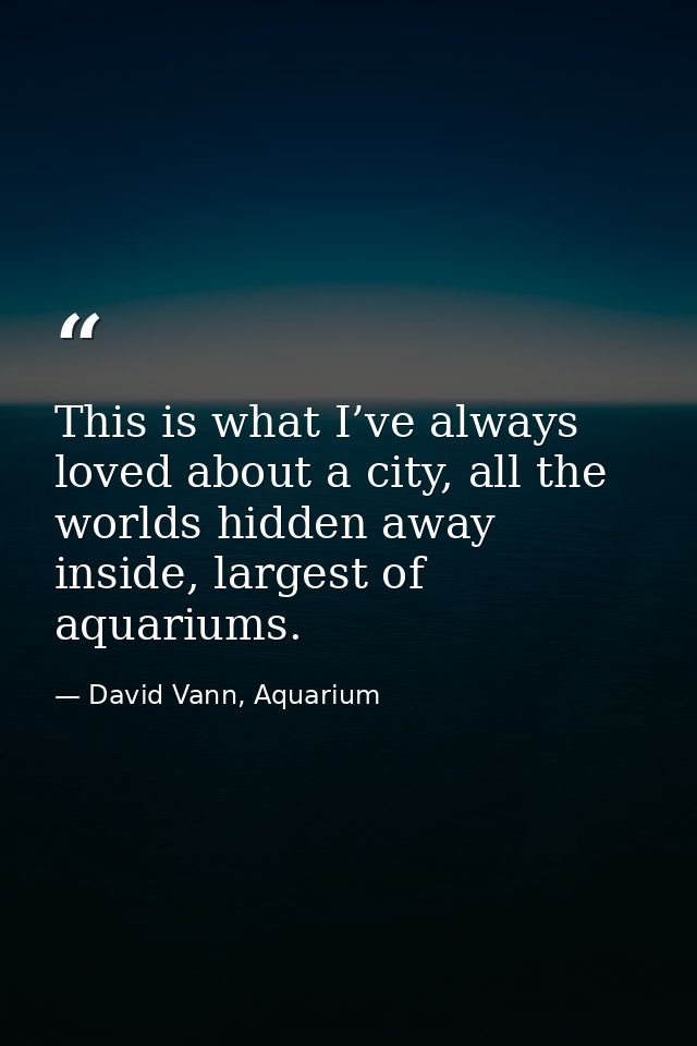 This is what I’ve always loved about a city, all the worlds hidden away inside, largest of aquariums. — David Vann, Aquarium