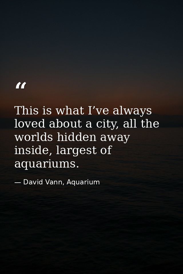 This is what I’ve always loved about a city, all the worlds hidden away inside, largest of aquariums. — David Vann, Aquarium