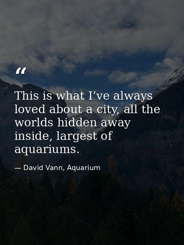 This is what I’ve always loved about a city, all the worlds hidden away inside, largest of aquariums. — David Vann, Aquarium