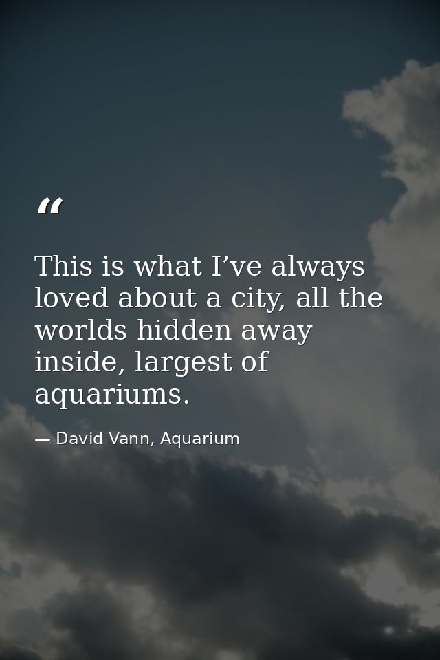 This is what I’ve always loved about a city, all the worlds hidden away inside, largest of aquariums. — David Vann, Aquarium