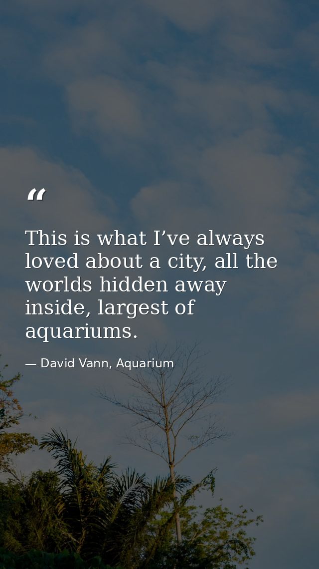 This is what I’ve always loved about a city, all the worlds hidden away inside, largest of aquariums. — David Vann, Aquarium