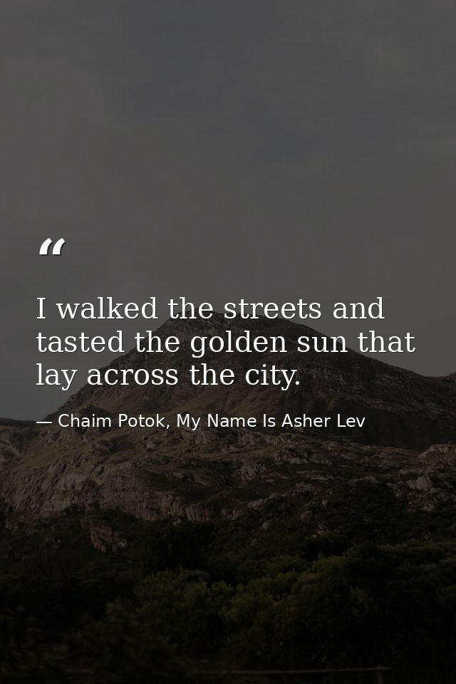 I walked the streets and tasted the golden sun that lay across the city. — Chaim Potok, My Name Is Asher Lev