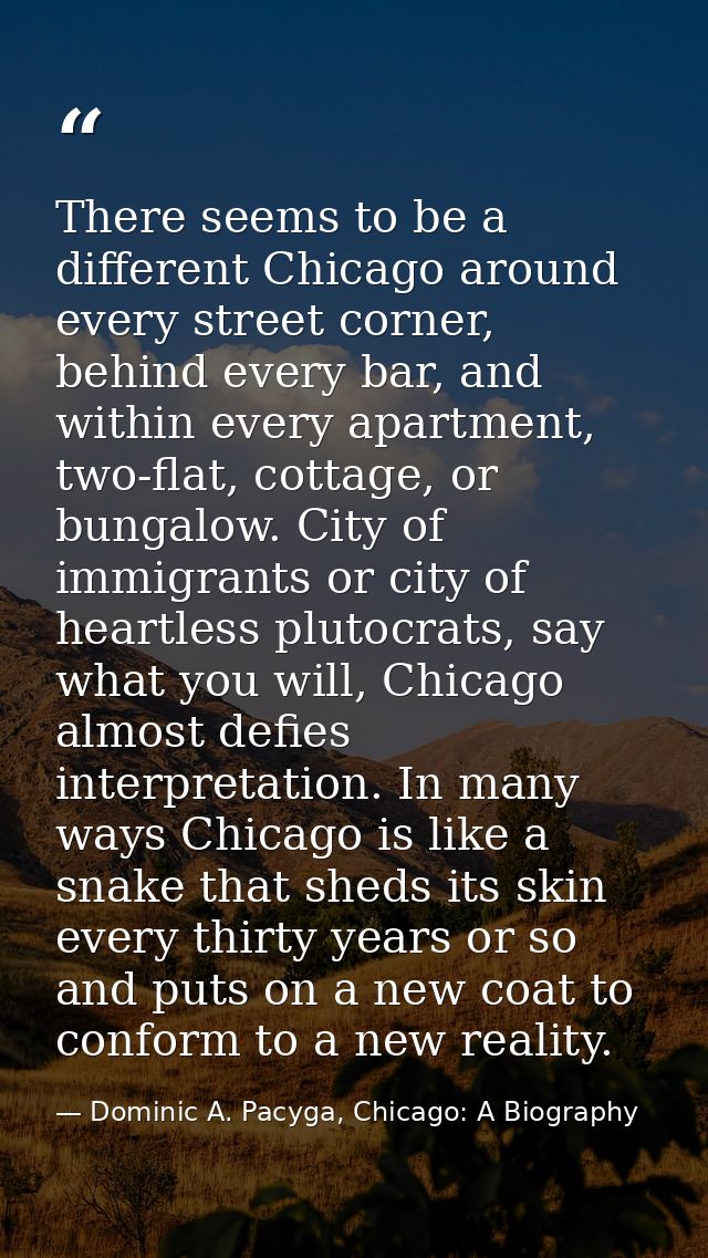 There seems to be a different Chicago around every street corner, behind every bar, and within every apartment, two-flat — Dominic A. Pacyga, Chicago: A Biography