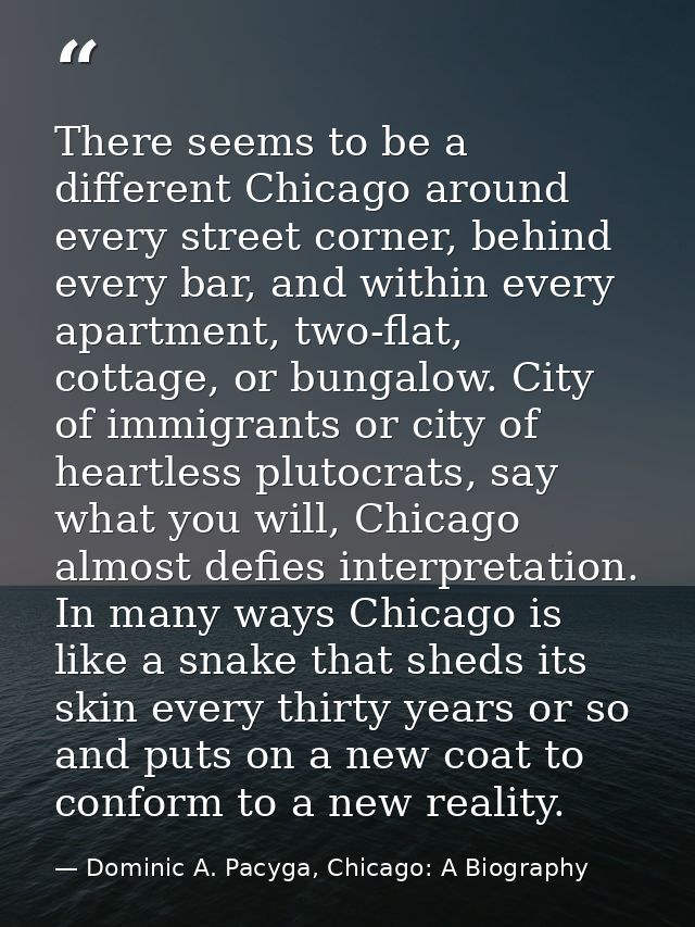 There seems to be a different Chicago around every street corner, behind every bar, and within every apartment, two-flat — Dominic A. Pacyga, Chicago: A Biography