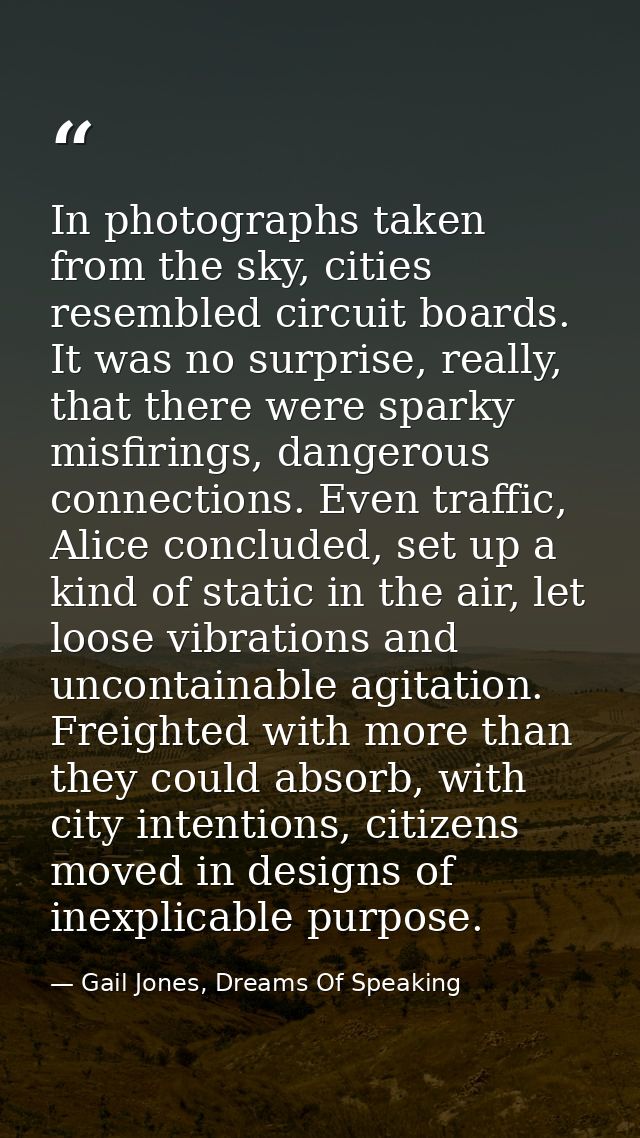 In photographs taken from the sky, cities resembled circuit boards. It was no surprise, really, that there were sparky m — Gail Jones, Dreams Of Speaking