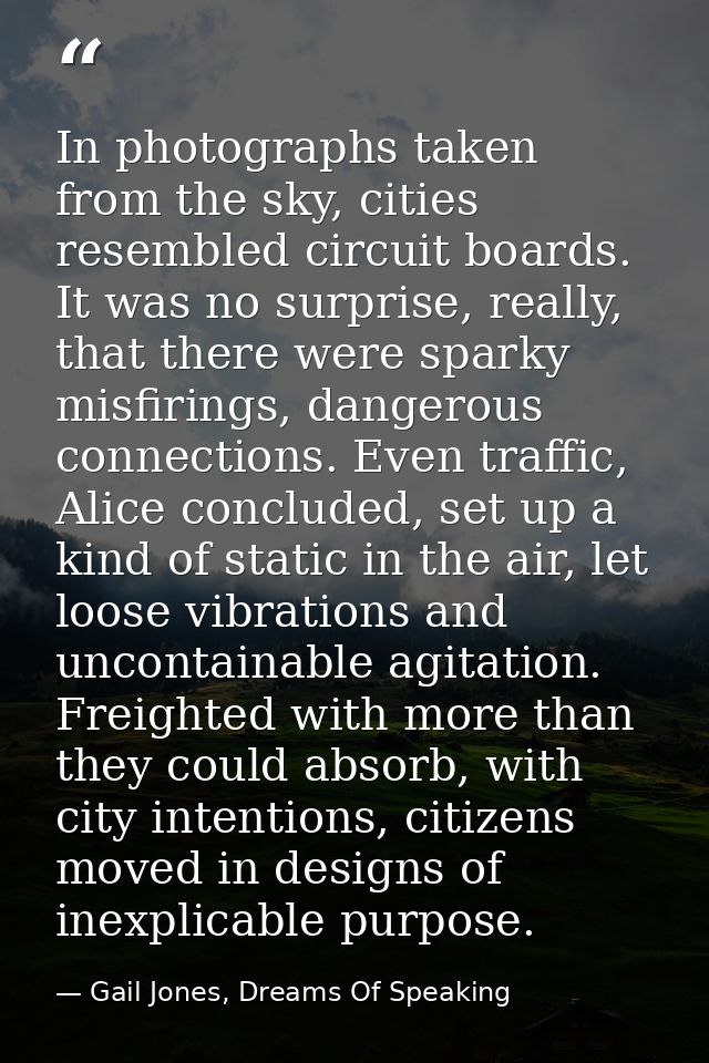 In photographs taken from the sky, cities resembled circuit boards. It was no surprise, really, that there were sparky m — Gail Jones, Dreams Of Speaking