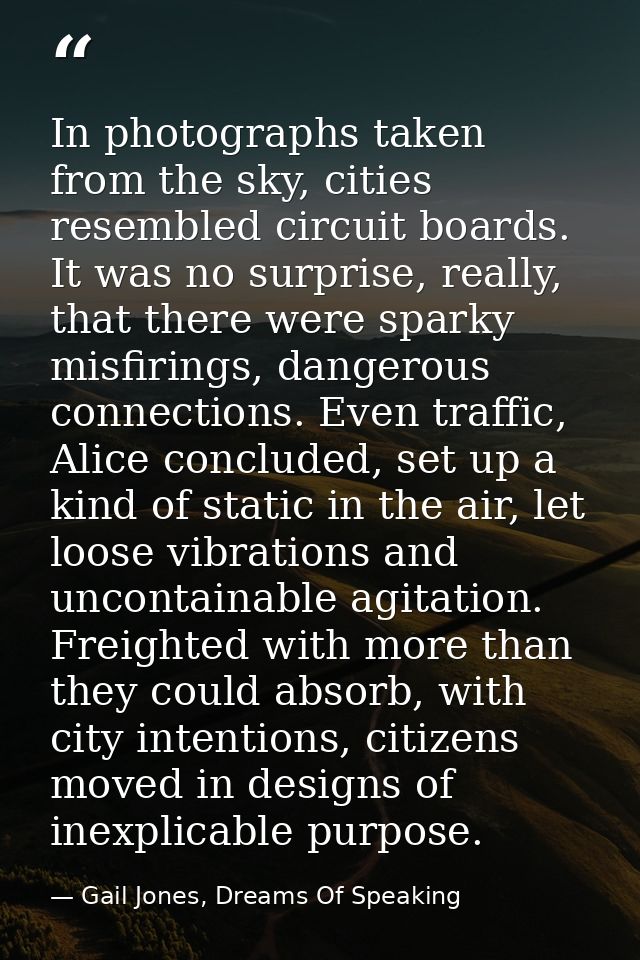 In photographs taken from the sky, cities resembled circuit boards. It was no surprise, really, that there were sparky m — Gail Jones, Dreams Of Speaking