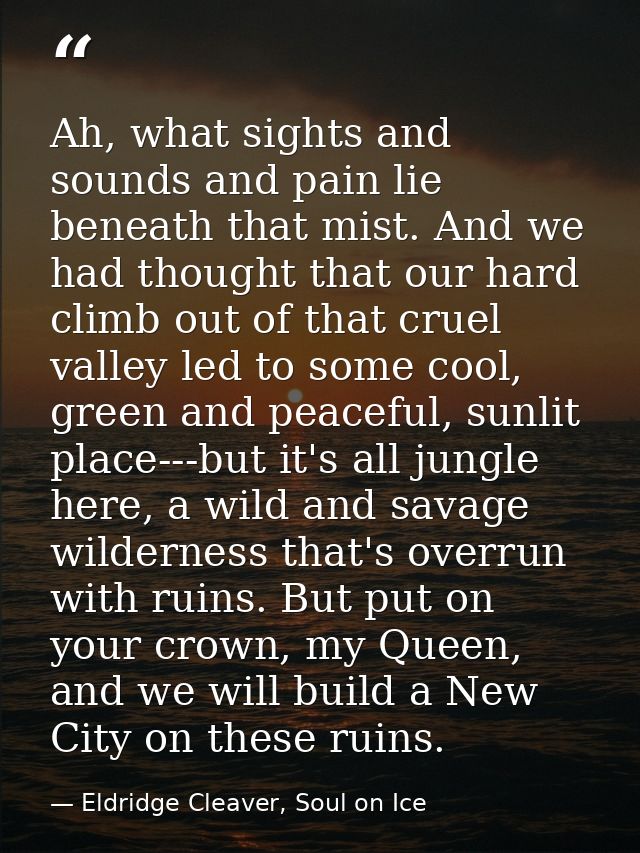 Ah, what sights and sounds and pain lie beneath that mist. And we had thought that our hard climb out of that cruel vall — Eldridge Cleaver, Soul on Ice