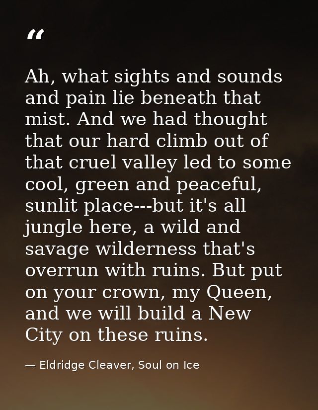Ah, what sights and sounds and pain lie beneath that mist. And we had thought that our hard climb out of that cruel vall — Eldridge Cleaver, Soul on Ice