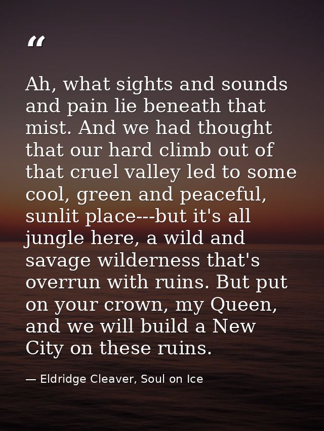 Ah, what sights and sounds and pain lie beneath that mist. And we had thought that our hard climb out of that cruel vall — Eldridge Cleaver, Soul on Ice