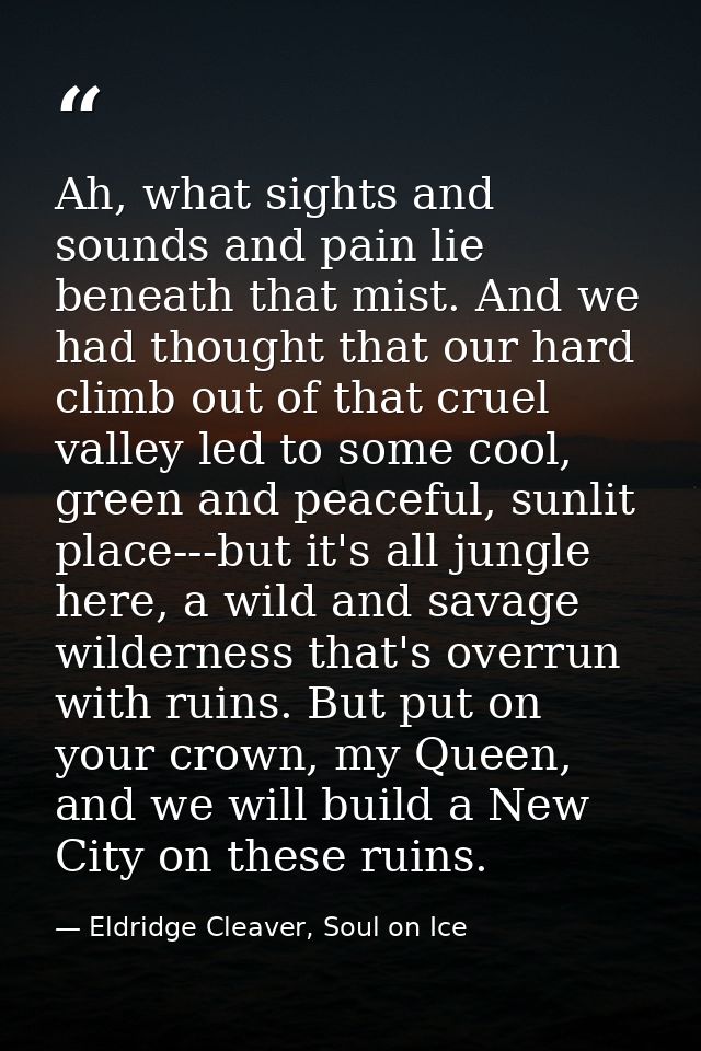 Ah, what sights and sounds and pain lie beneath that mist. And we had thought that our hard climb out of that cruel vall — Eldridge Cleaver, Soul on Ice
