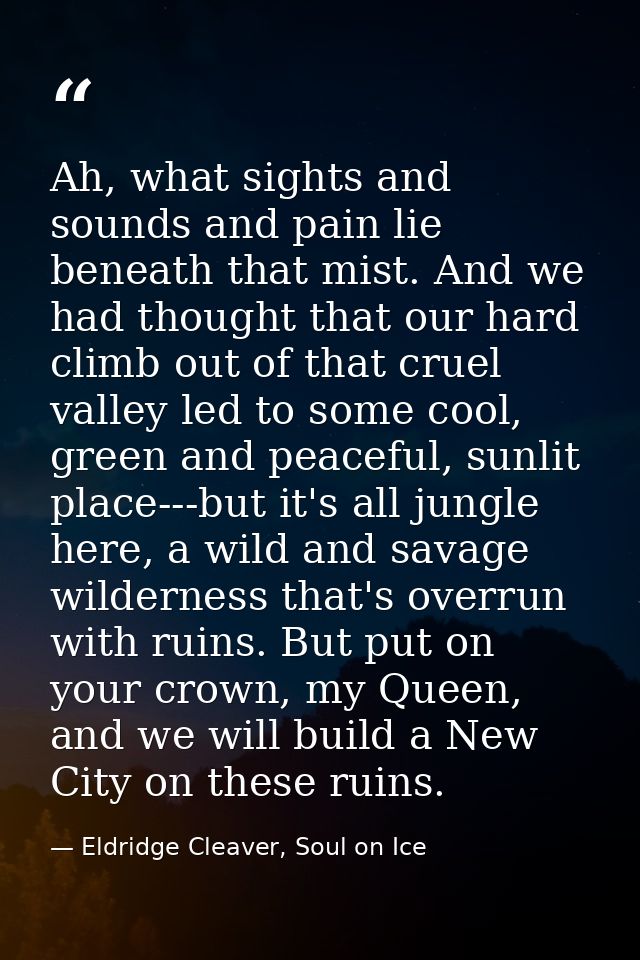 Ah, what sights and sounds and pain lie beneath that mist. And we had thought that our hard climb out of that cruel vall — Eldridge Cleaver, Soul on Ice