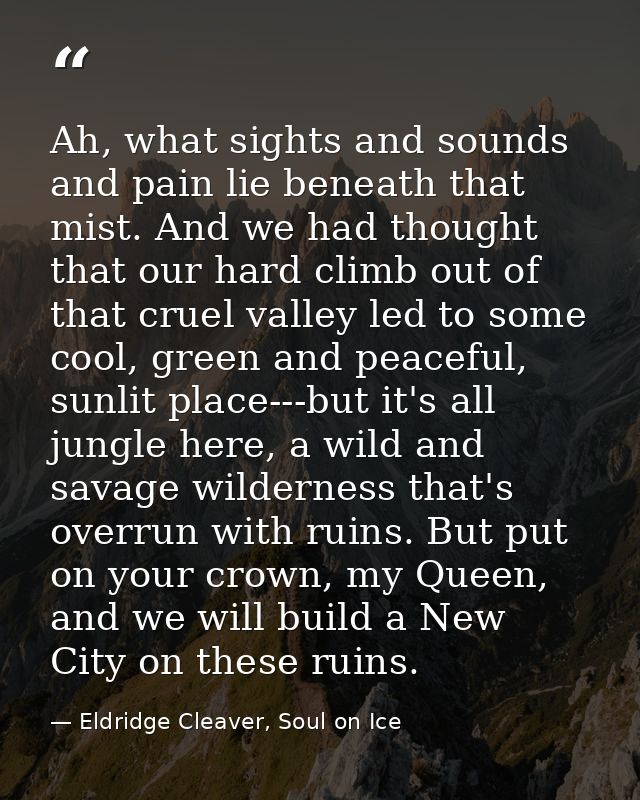 Ah, what sights and sounds and pain lie beneath that mist. And we had thought that our hard climb out of that cruel vall — Eldridge Cleaver, Soul on Ice