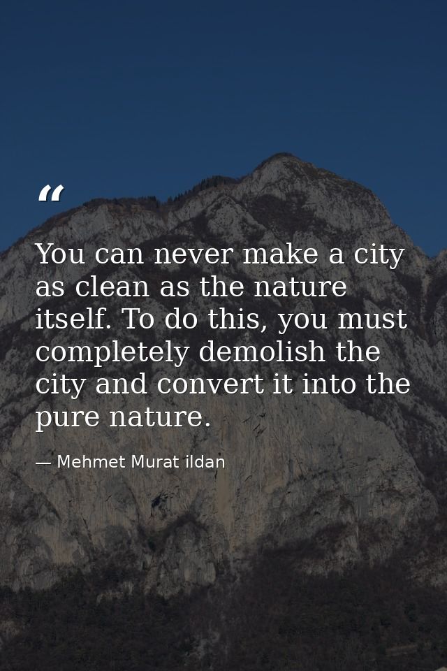 You can never make a city as clean as the nature itself. To do this, you must completely demolish the city and convert i — Mehmet Murat ildan