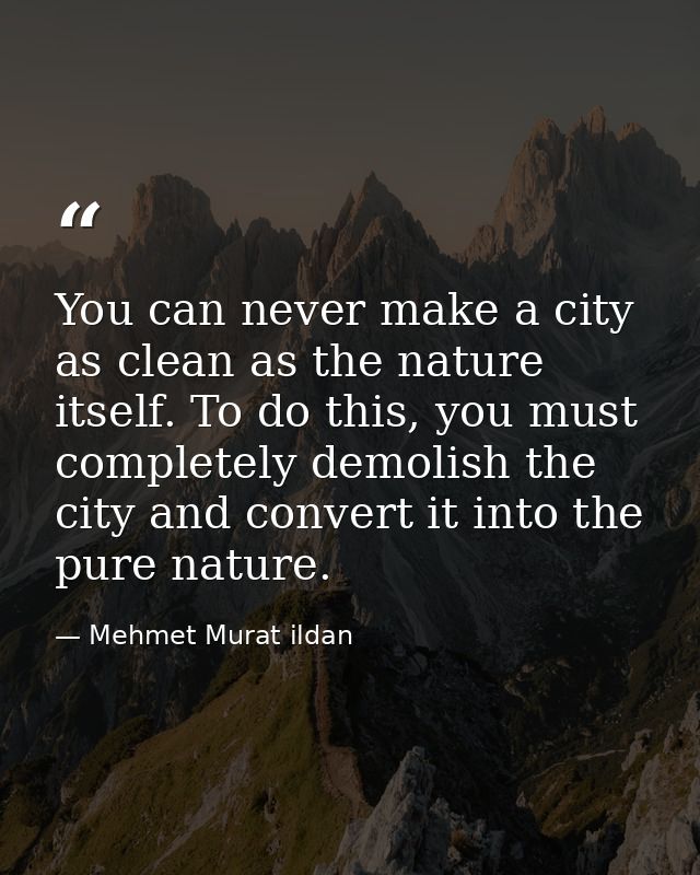 You can never make a city as clean as the nature itself. To do this, you must completely demolish the city and convert i — Mehmet Murat ildan