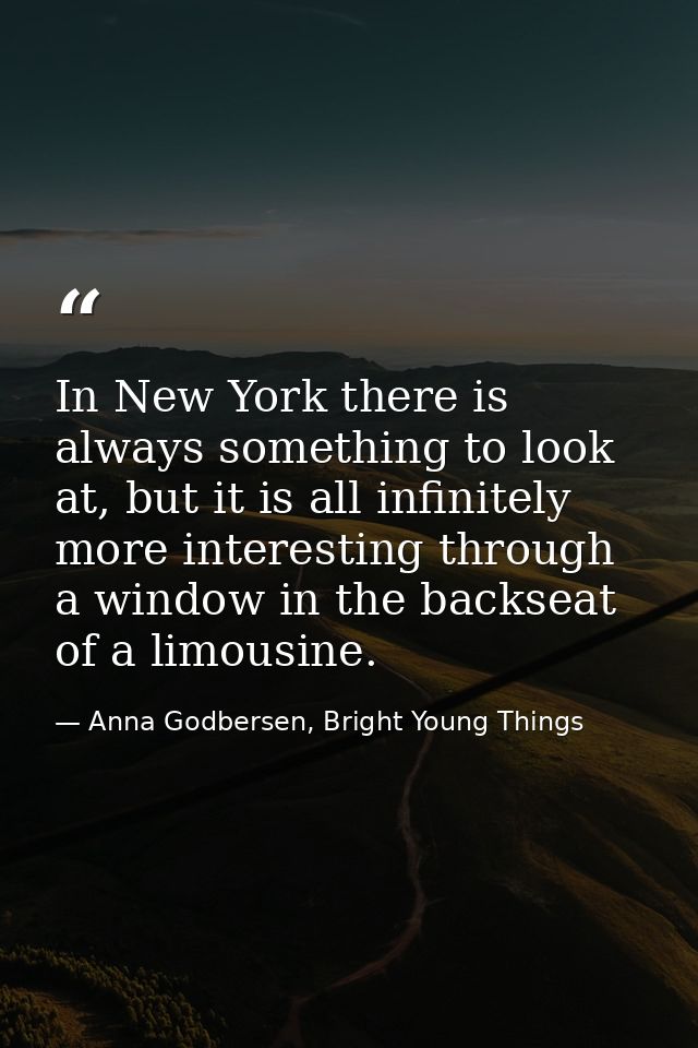 In New York there is always something to look at, but it is all infinitely more interesting through a window in the back — Anna Godbersen, Bright Young Things
