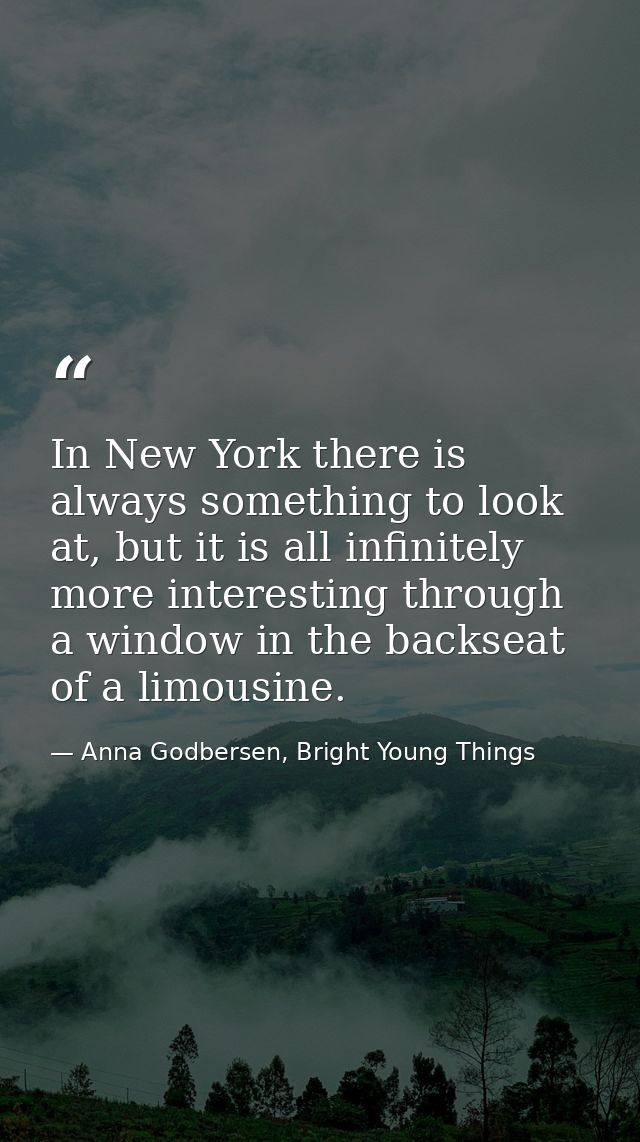 In New York there is always something to look at, but it is all infinitely more interesting through a window in the back — Anna Godbersen, Bright Young Things