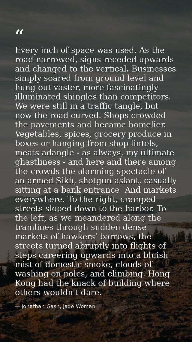 Every inch of space was used. As the road narrowed, signs receded upwards and changed to the vertical. Businesses simply — Jonathan Gash, Jade Woman